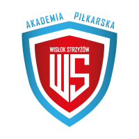 AP Wisłok Strzyżów