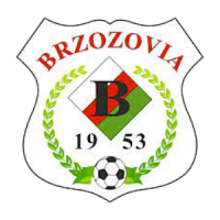 Brzozovia Brzozów