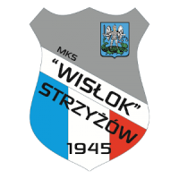 Wisłok Strzyżów