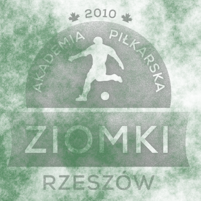 Mecz kontrolny Crasnovia Krasne - AP Ziomki 2013