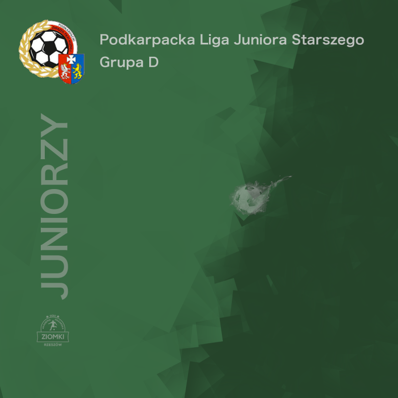 Podkarpacka Liga Juniora Starszego - Grupa D