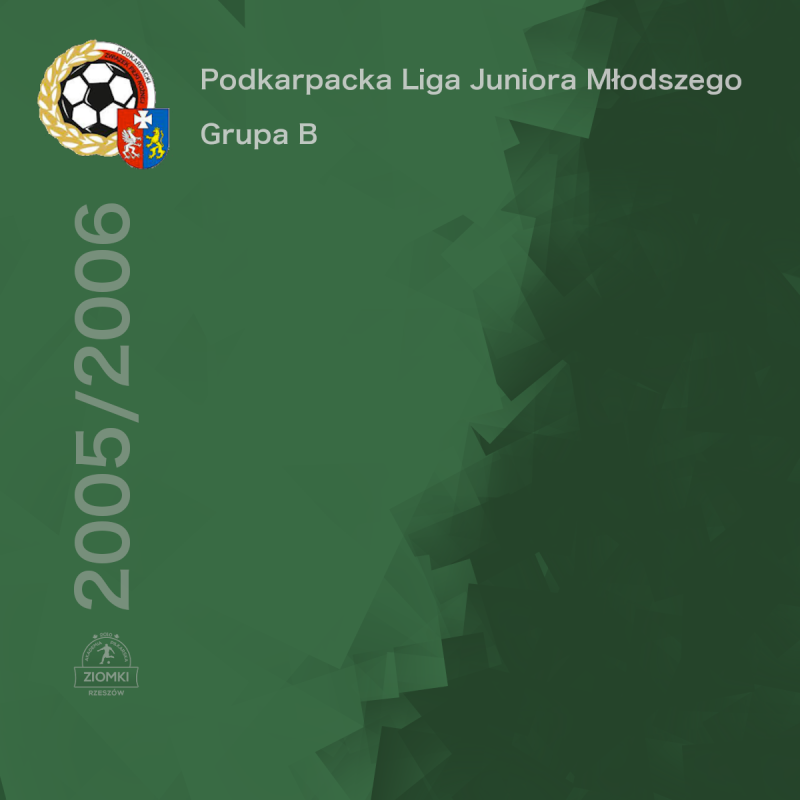 Podkarpacka Liga Juniora Młodszego - Grupa B - wiosna