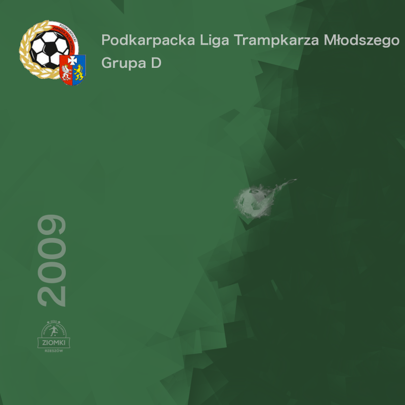 Podkarpacka Liga Trampkarza Młodszego - Grupa D