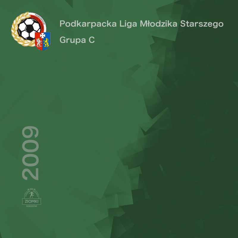 Podkarpacka Liga Młodzika Starszego - Grupa C - wiosna