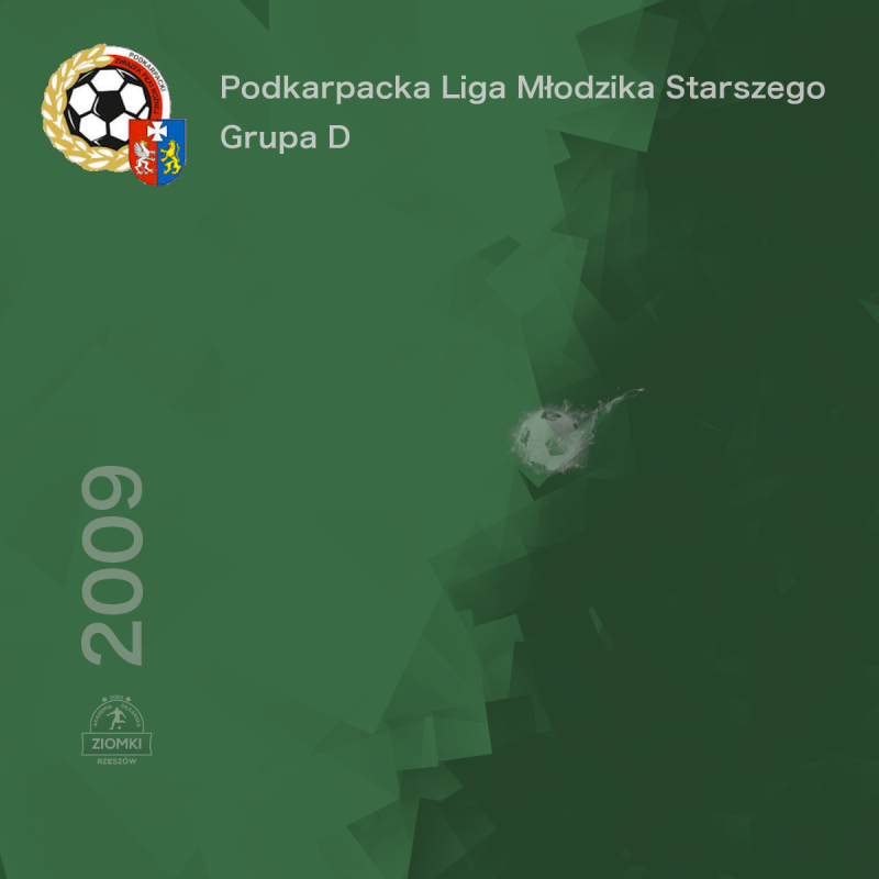 Podkarpacka Liga Młodzika Starszego - Grupa D