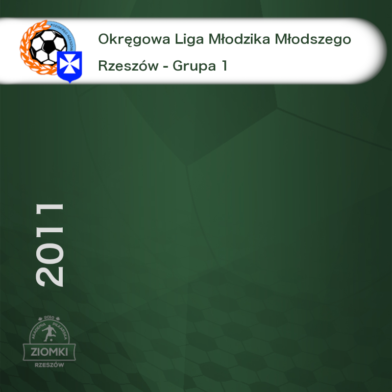 Okręgowa Liga Młodzika Starszego - Rzeszów Gr. 1 - 2022/23